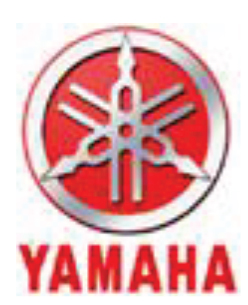 Launch Supporter 31